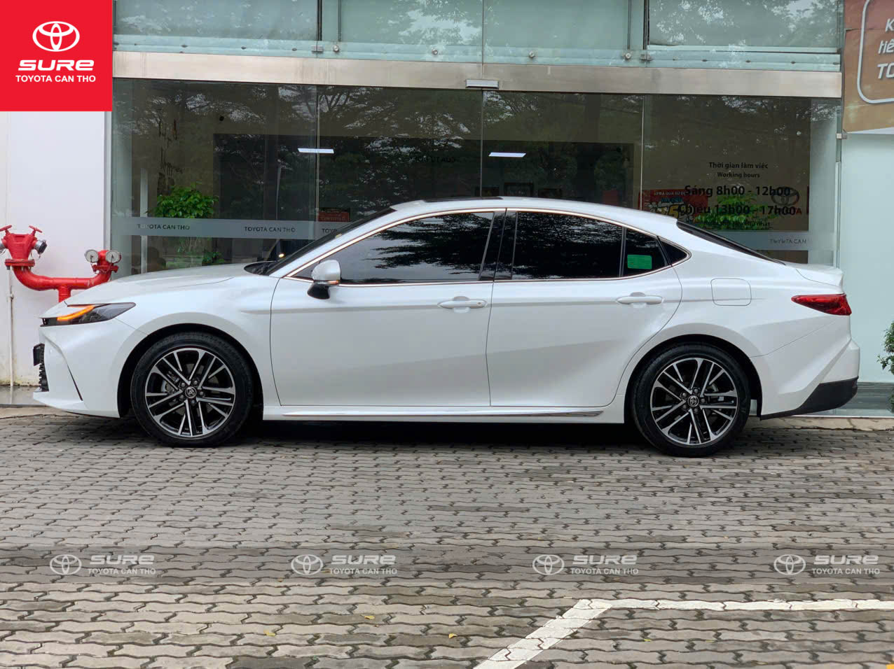 z7170290227471_628a0ff46ff806105d2f7008d9643963