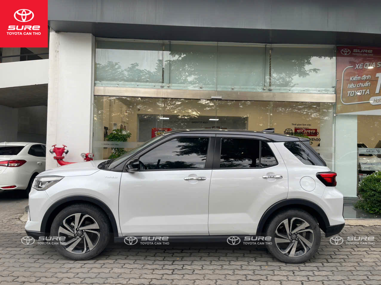 z7251502512919_82b35668ee493bf0b2c79314866ed2a3