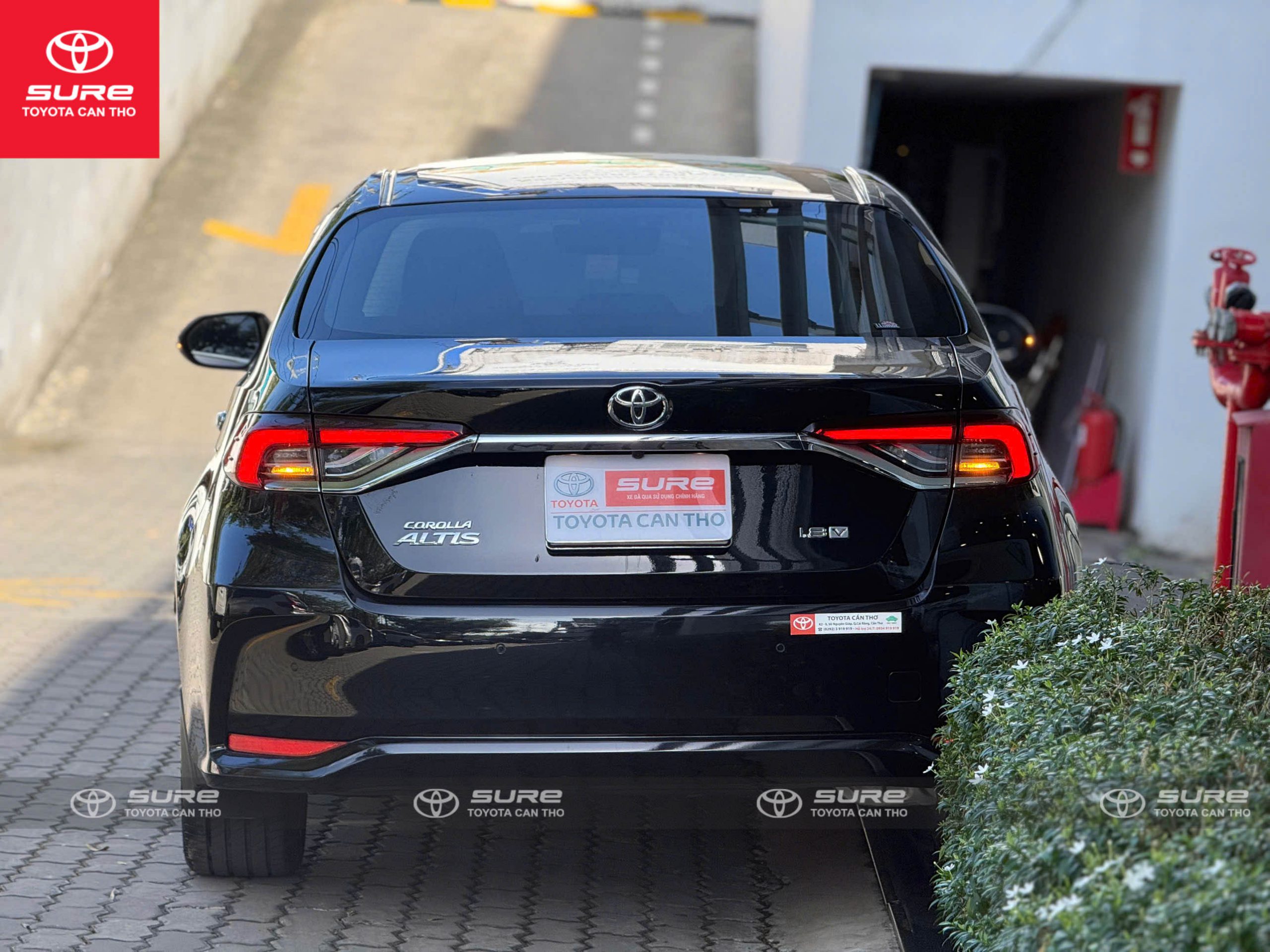 z7294008517062_3e01c9fd9db8917a20c3bf4c55d635ee