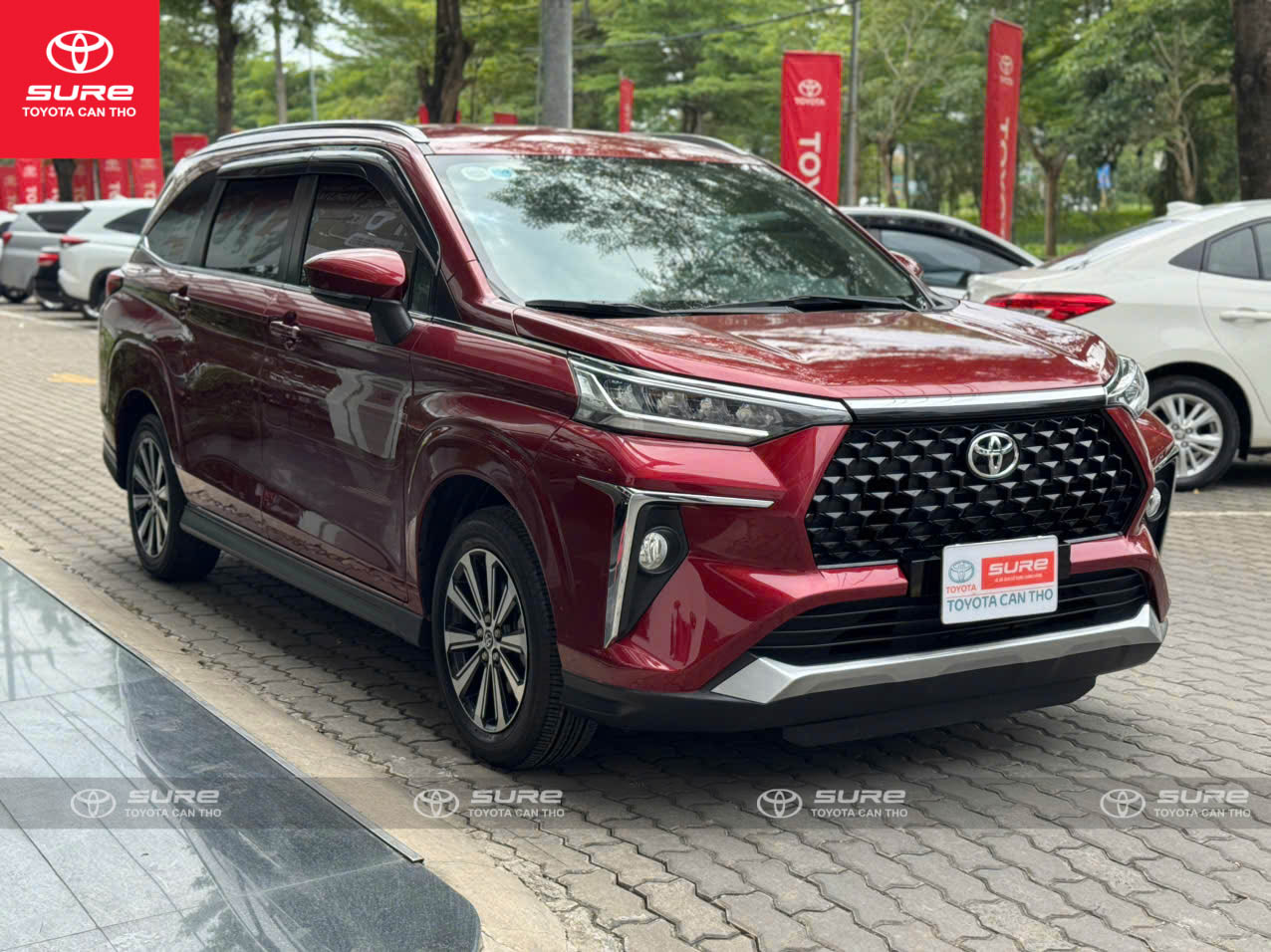 z7307902105953_1c0eaf7bacac55d6f73cfe16a37126e7