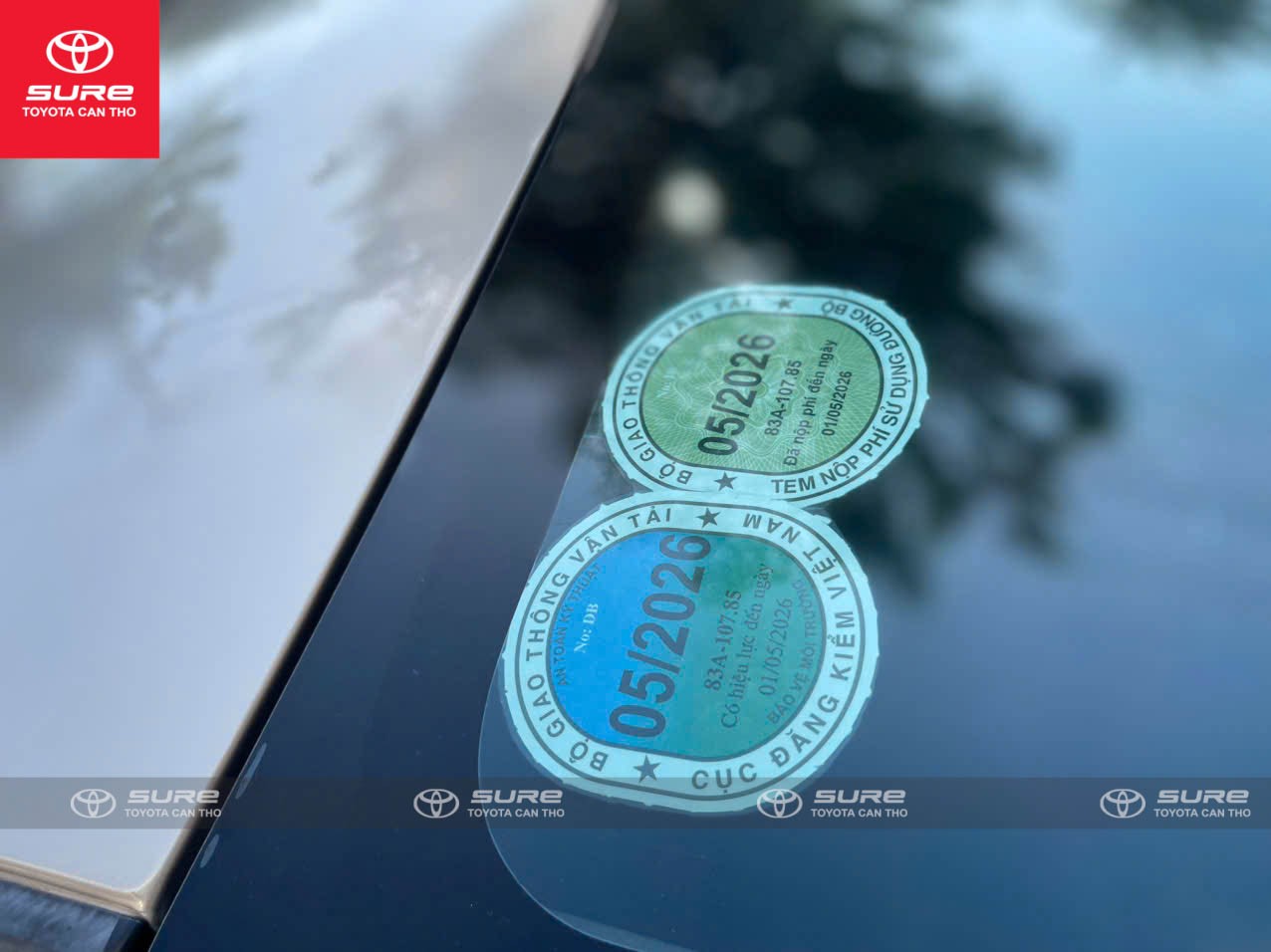 z7393290202642_53a98b04be26b3211db3cffecd215a98