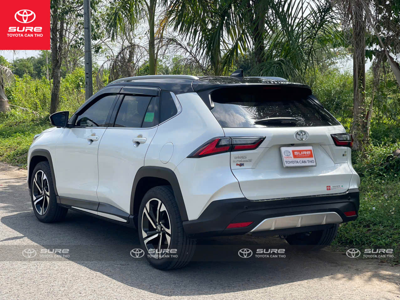 z7595503592916_e21b1d71494a122626e5a1e257a74557