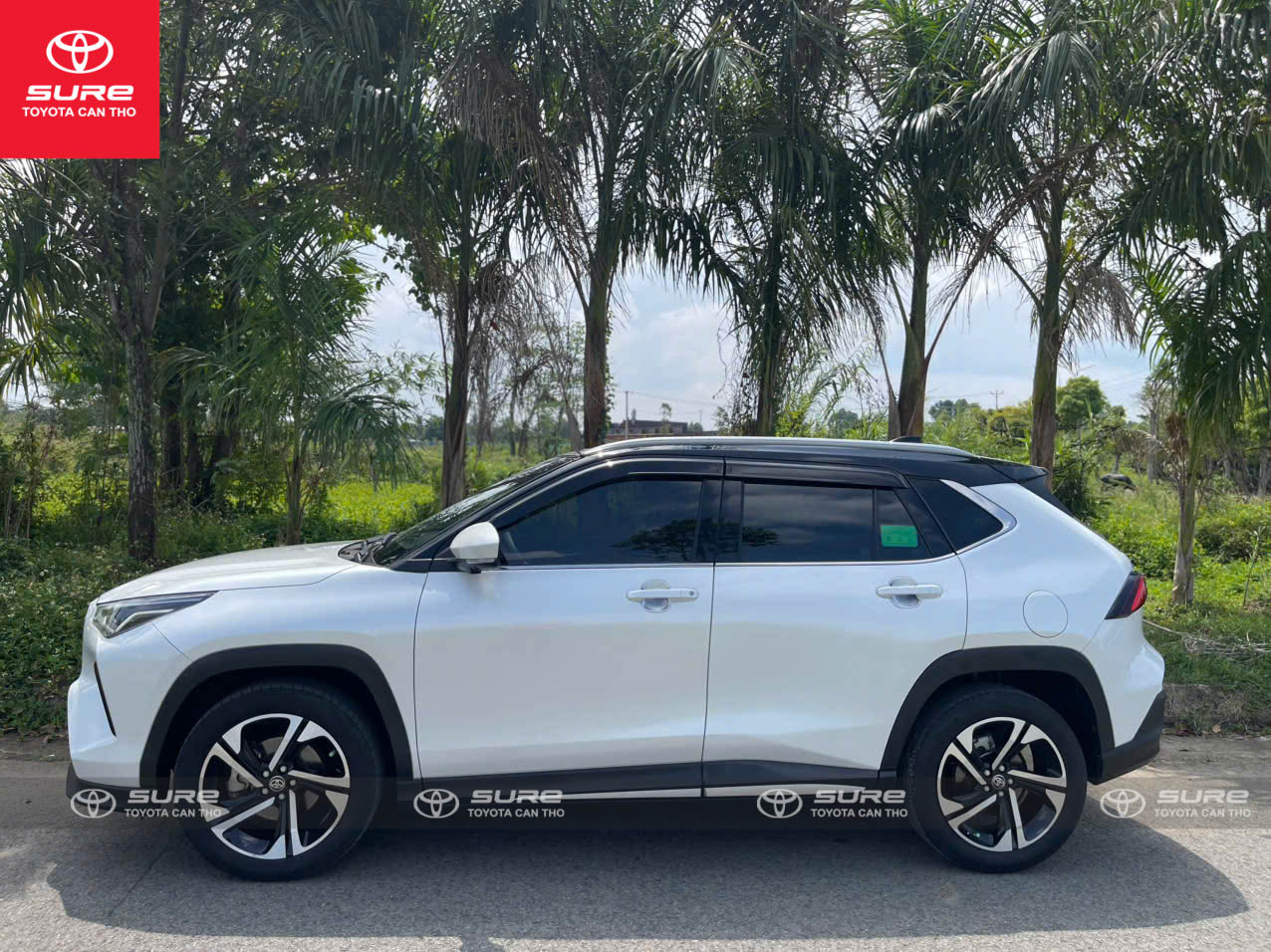 z7595503610802_a20b5a9883e78d2d4eac524a8d29918f