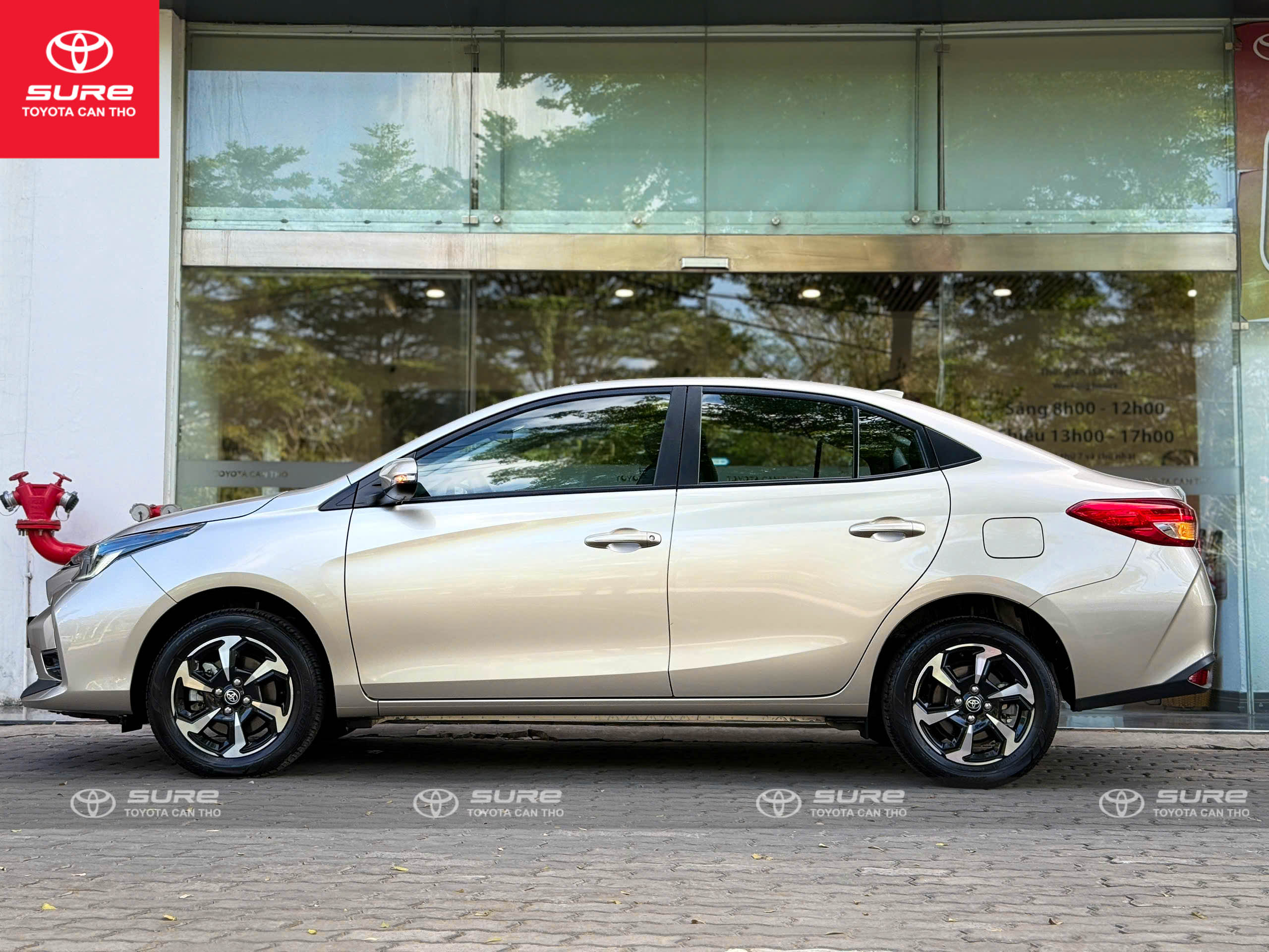 z7608461873088_65152479e4c8a79c48a9081ade56987e