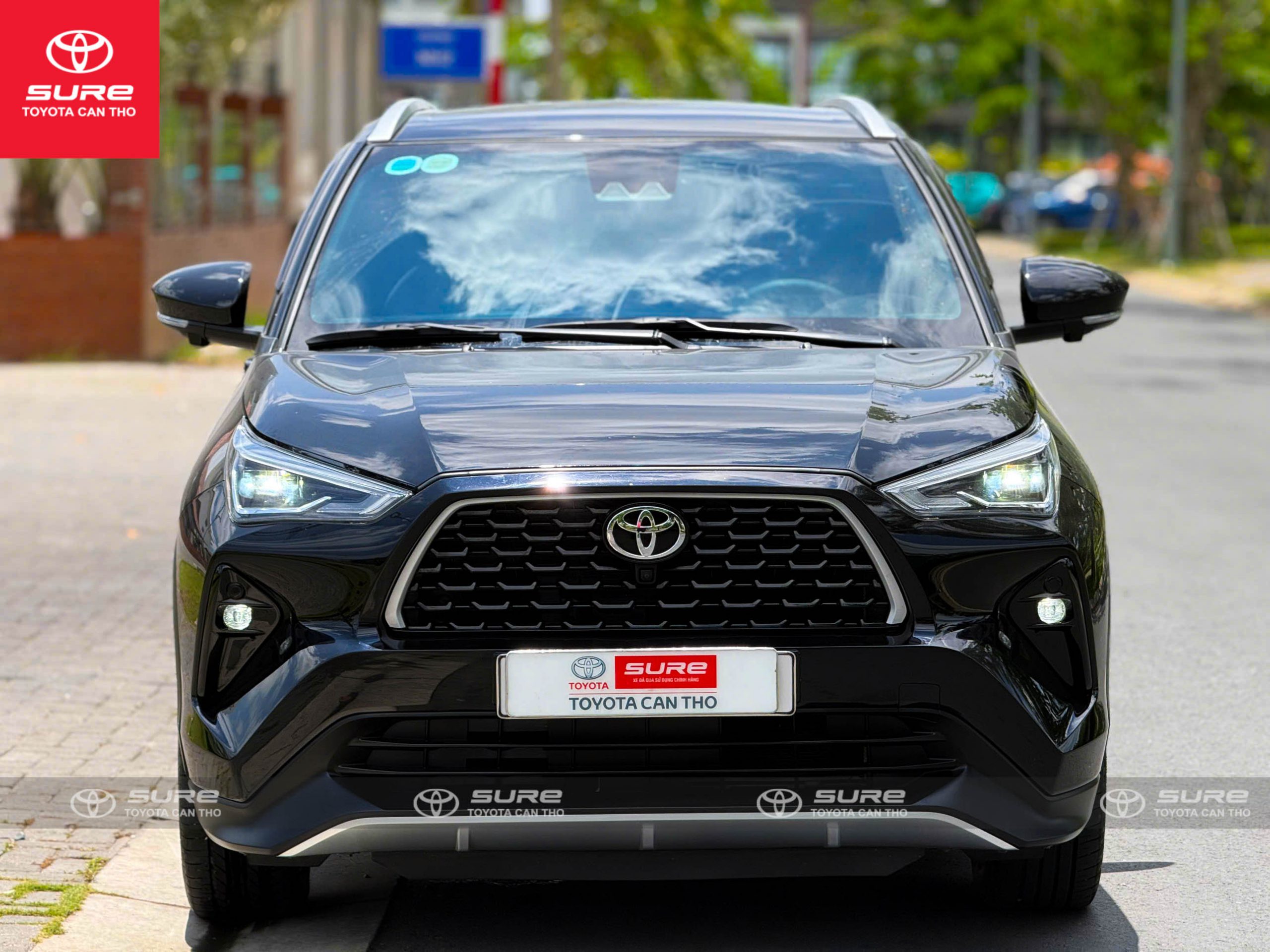 z7696116381291_b795fae50fa6a0973183cc927fe0beeb