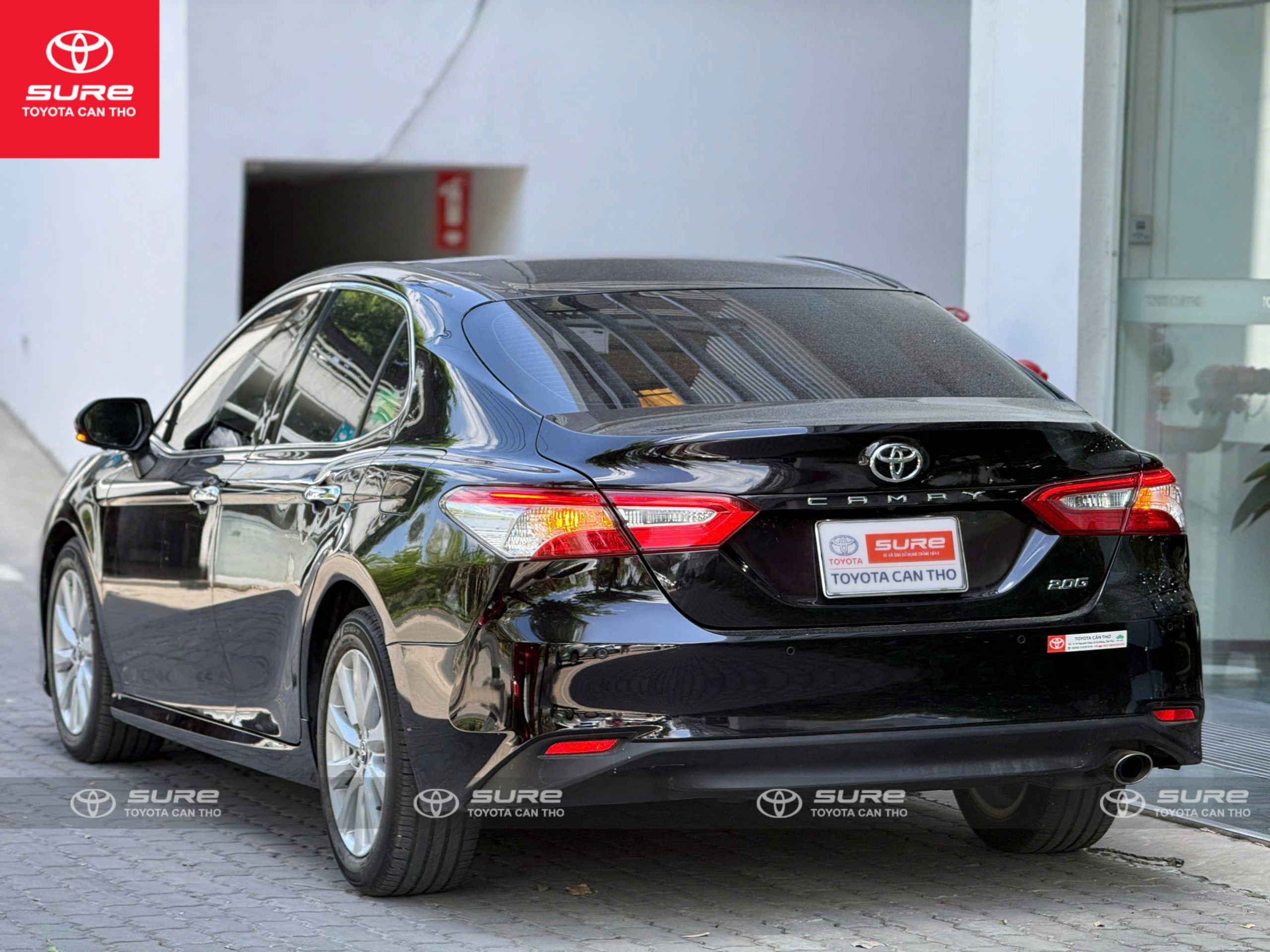 z7809772579471_67e81fe98091c95c6cfc51c11a7ef11e